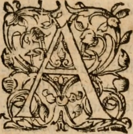 An illustration from Artemidori Daldiani & Achmetis Sereimi f. Oneirocritica, 1603, leaf 330