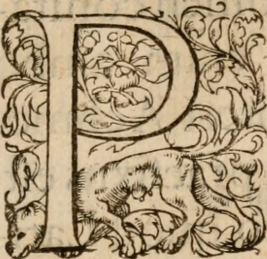 An illustration from Artemidori Daldiani & Achmetis Sereimi f. Oneirocritica, 1603, leaf 396