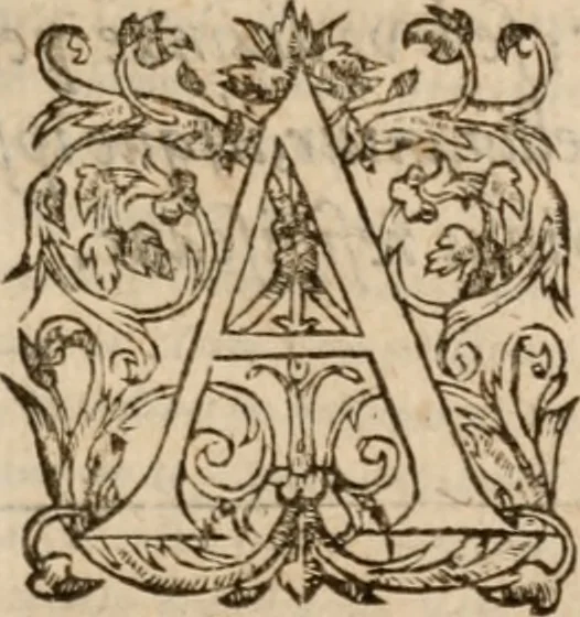 An illustration from Artemidori Daldiani & Achmetis Sereimi f. Oneirocritica, 1603, leaf 398