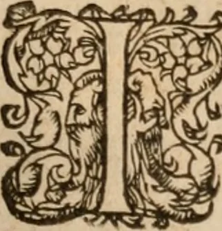 An illustration from Artemidori Daldiani & Achmetis Sereimi f. Oneirocritica, 1603, leaf 96