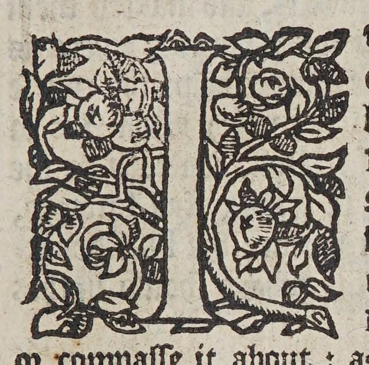 An illustration from The arte of nauigation. : conteyning a compendious description of the sphere, : with the making of certayne instruments and rules for nauigations, and exemplifyed by many demonstrations., 1589, leaf 41