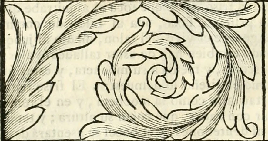 An illustration from Arte y uso de arquitectura, 1796, leaf 97