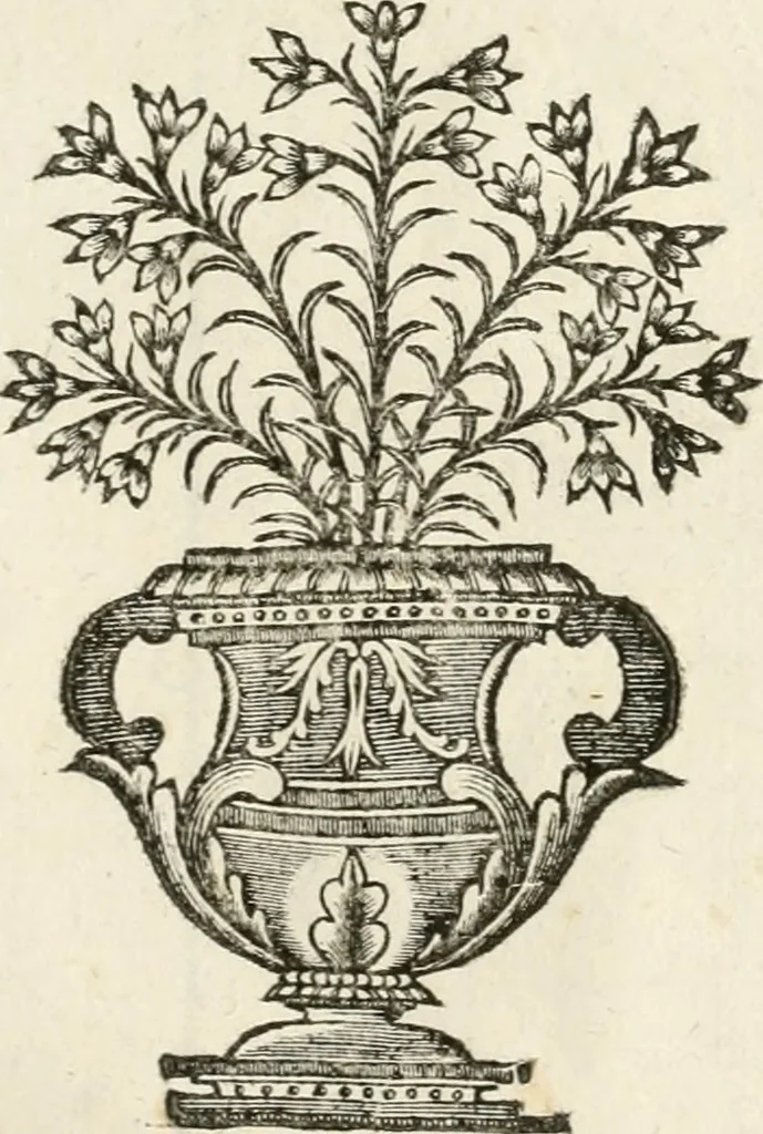 An illustration from Arte y uso de arquitectura, 1796, leaf 116