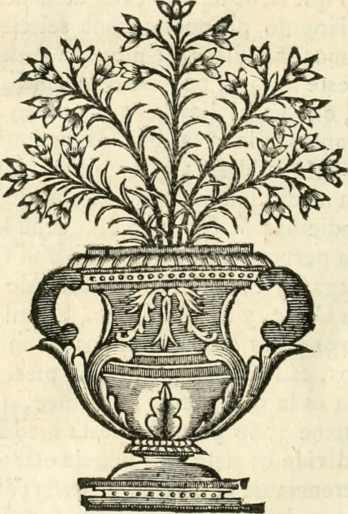 An illustration from Arte y uso de arquitectura, 1796, leaf 205