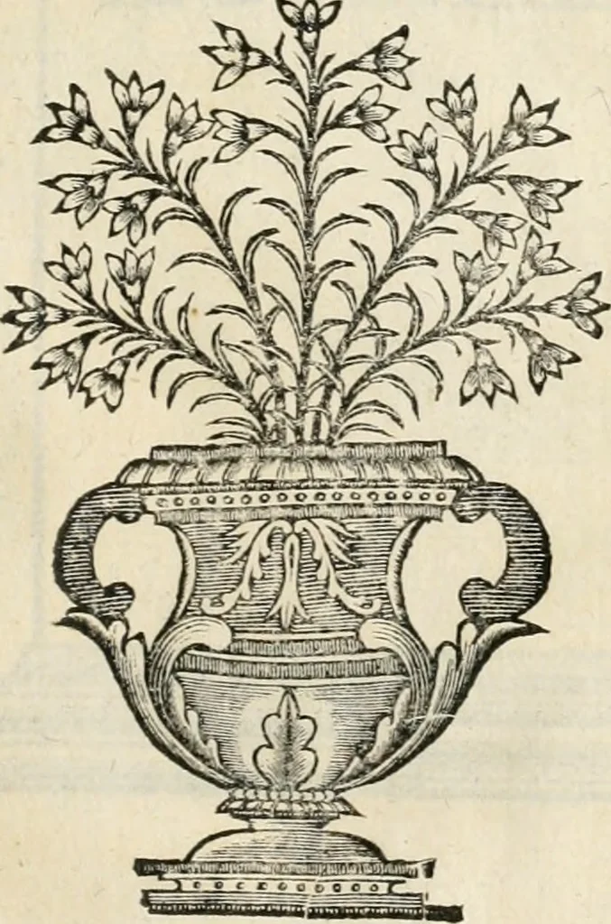 An illustration from Arte y uso de arquitectura, 1796, leaf 60