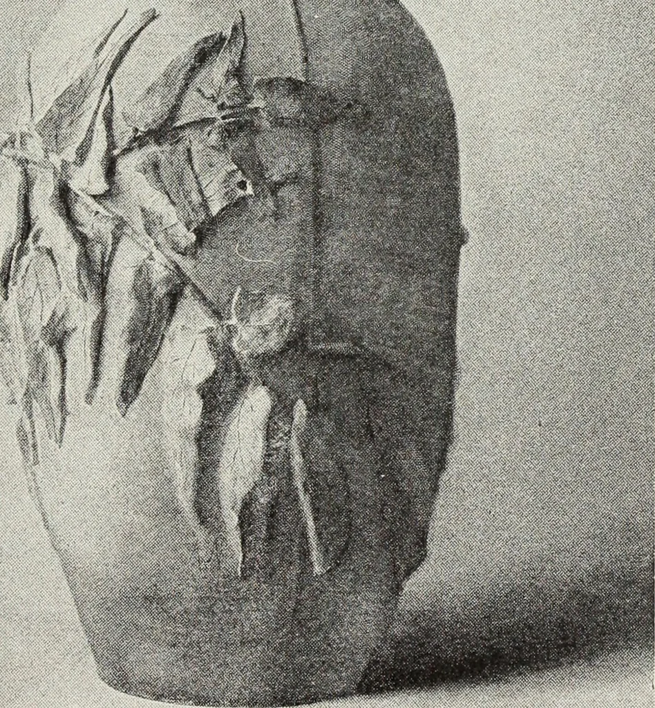 An illustration from Art and handicraft in the Woman's Building of the World's Columbian Exposition, Chicago, 1893, 1894, leaf 104