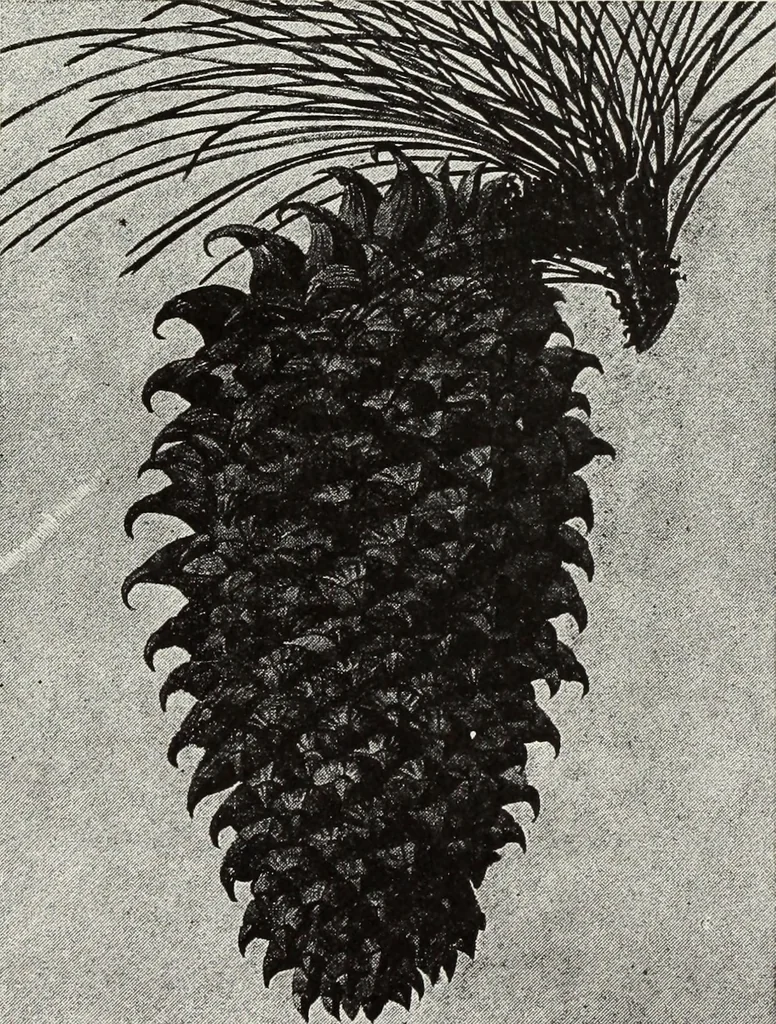 An illustration from Art and handicraft in the Woman's Building of the World's Columbian Exposition, Chicago, 1893, 1894, leaf 110