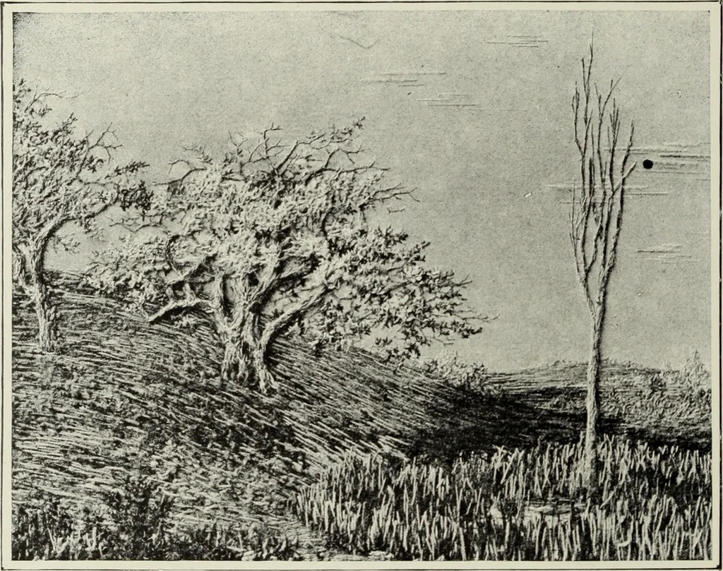 An illustration from Art and handicraft in the Woman's Building of the World's Columbian Exposition, Chicago, 1893, 1894, leaf 85