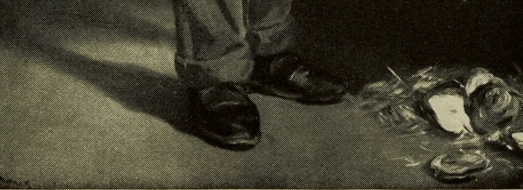 An illustration from The Arthur Jerome Eddy collection of modern paintings and sculpture, 1900, leaf 24