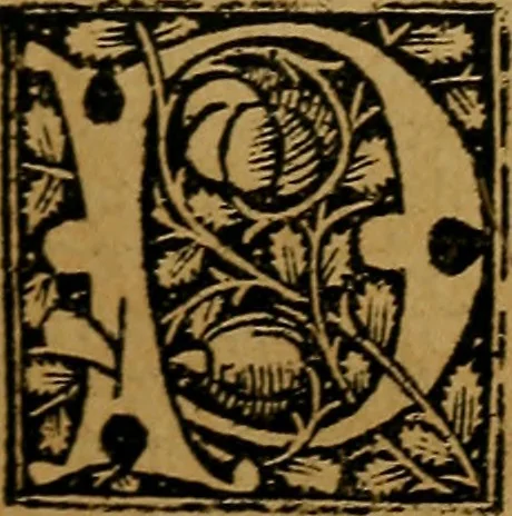 An illustration from Articella nuperrime impressa cu[m] q[uam]plurimis tractatib[us] pristine impressioni superadditis .., 1519, leaf 460