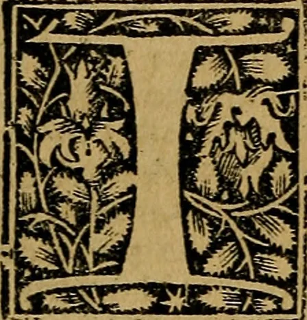 An illustration from Articella nuperrime impressa cu[m] q[uam]plurimis tractatib[us] pristine impressioni superadditis .., 1519, leaf 589