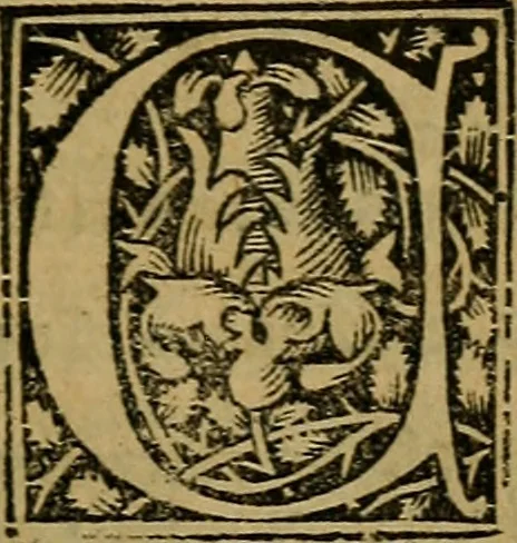 An illustration from Articella nuperrime impressa cu[m] q[uam]plurimis tractatib[us] pristine impressioni superadditis .., 1519, leaf 782