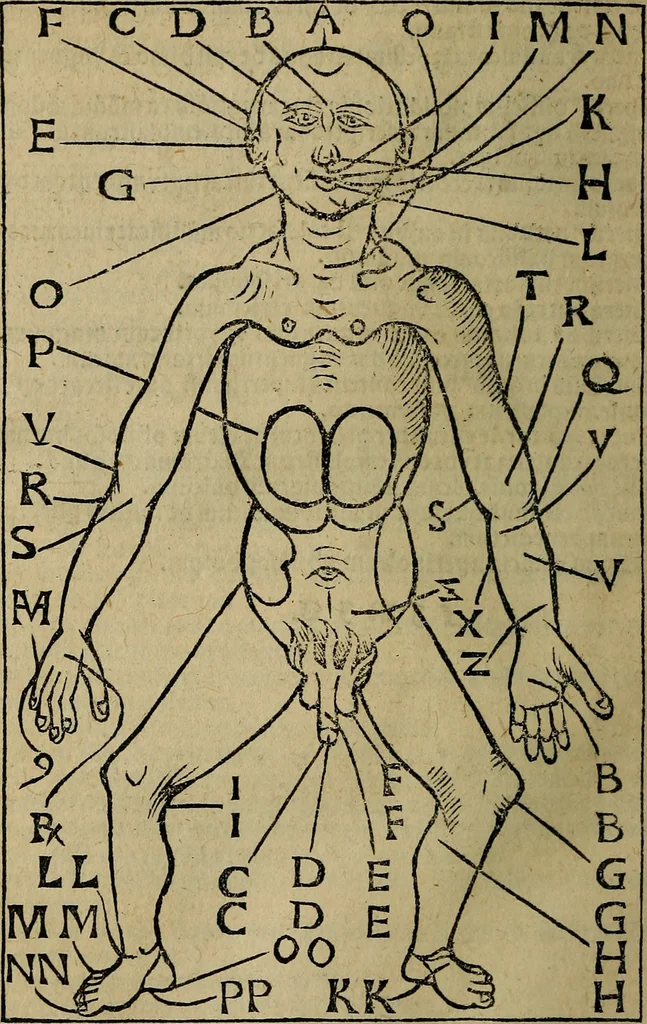 An illustration from Articella nuperrime impressa cu[m] q[uam]plurimis tractatib[us] pristine impressioni superadditis .., 1519, leaf 805
