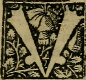 An illustration from Articella nuperrime impressa cu[m] q[uam]plurimis tractatib[us] pristine impressioni superadditis .., 1519, leaf 806