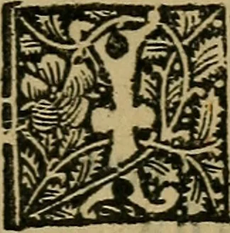 An illustration from Articella nuperrime impressa cu[m] q[uam]plurimis tractatib[us] pristine impressioni superadditis .., 1519, leaf 810