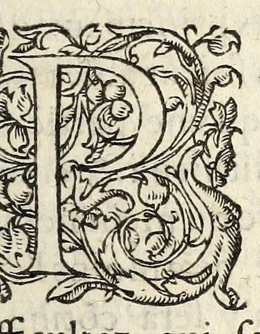 An illustration from Articles, resolus et accordez à Nerac, en la conference de la royne mere du roy, assistee d'aucuns princes & seigneurs du Conseil priué du roy : auec le roy de Nauarre aussi assisté d'autres seigneurs & gentils hommes, & des deputez de ceux de la religion pretenduë reformée., 1581, leaf 3