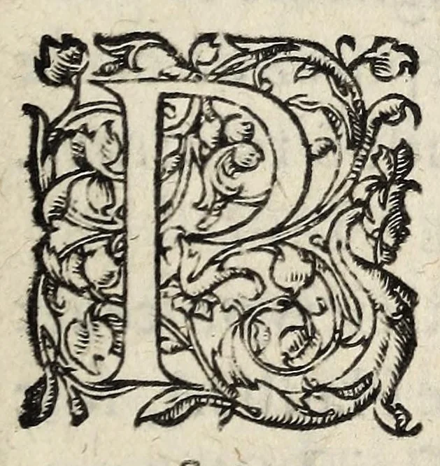 An illustration from Articles resolvs et accordez à Nerac, en la conference de la Royne mere du Roy, assistee des princes & aucuns seigneurs du conseil priué du Roy: le Roy de Nauarre d'aucũs sieurs & gentils-hommes, & des deputez de ceux de la religion pretenduë reformee., 1579, leaf 3