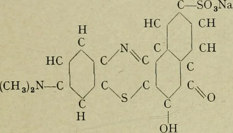 An illustration from Artificial dye-stuffs; their nature, manufacture, and uses, 1917, leaf 170