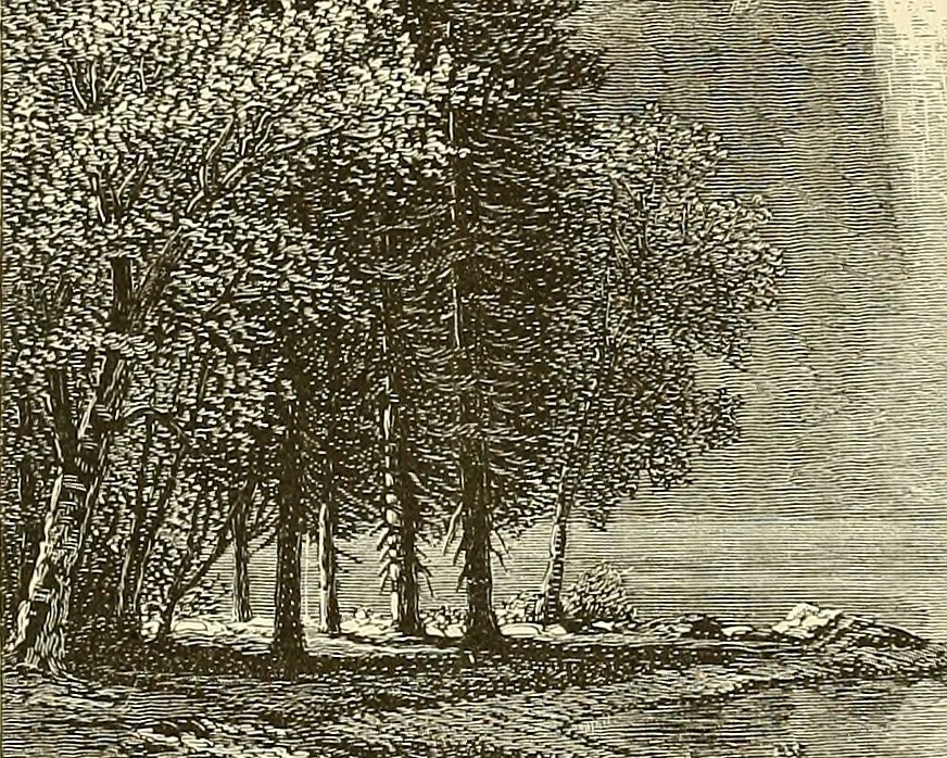 An illustration from Art in America; a critical and historical sketch, 1880, leaf 104