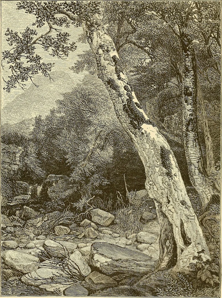 An illustration from Art in America; a critical and historical sketch, 1880, leaf 66