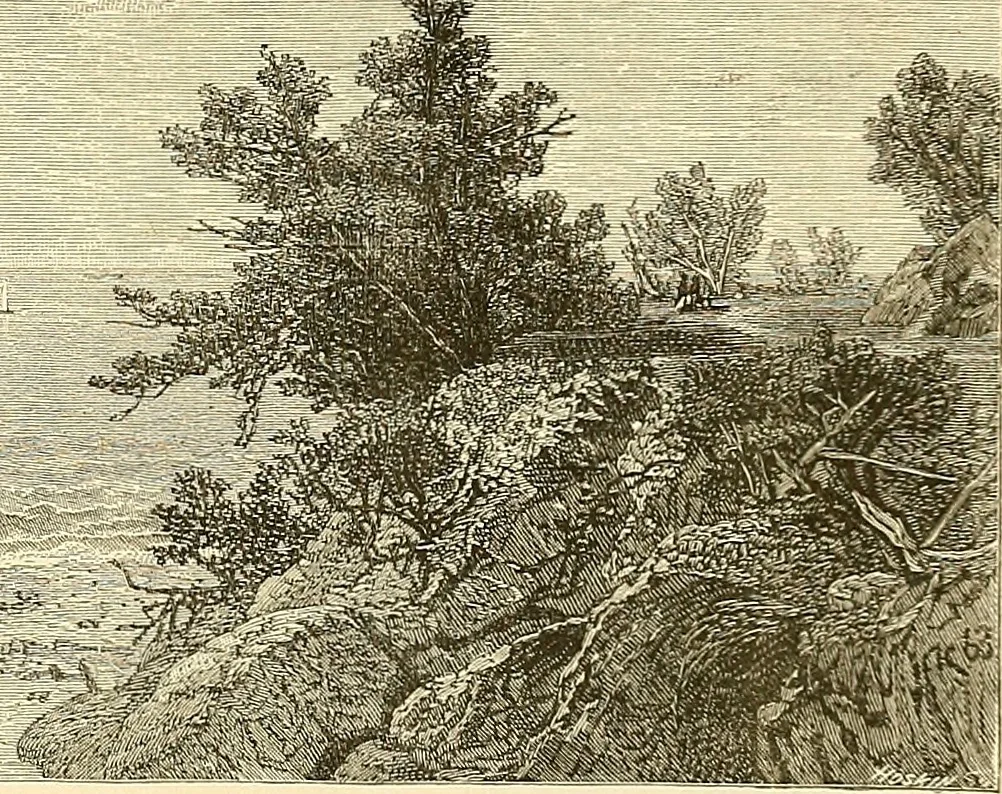 An illustration from Art in America; a critical and historical sketch, 1880, leaf 68