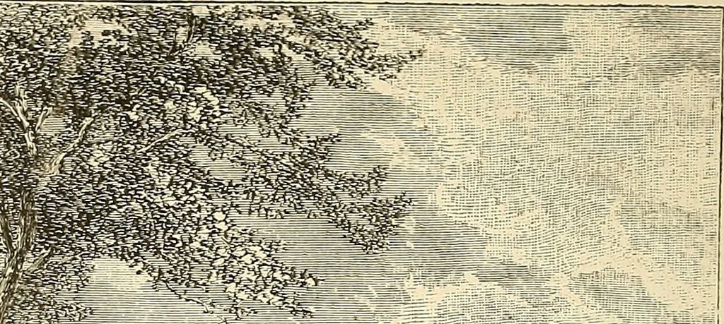 An illustration from Art in America; a critical and historical sketch, 1880, leaf 75