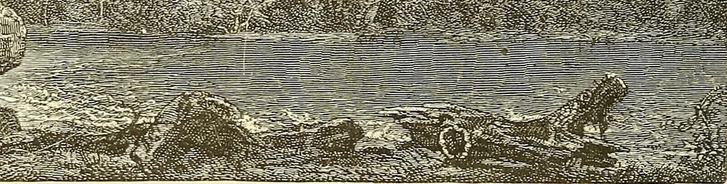 An illustration from Art in America; a critical and historical sketch, 1880, leaf 79