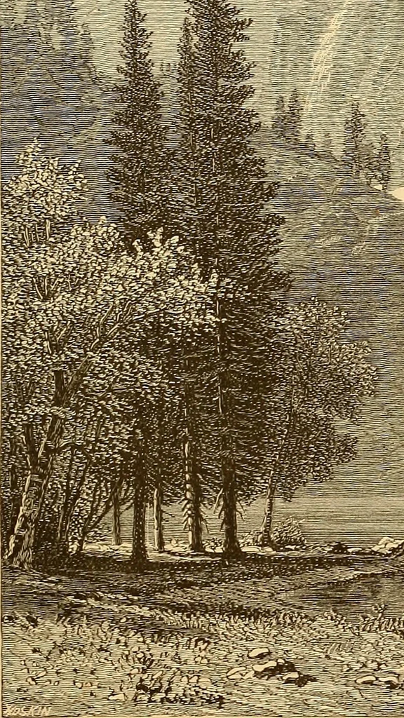 An illustration from Art in America : a critical and historical sketch, 1880, leaf 102