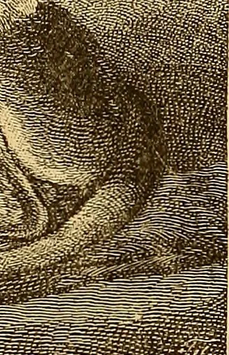 An illustration from Art in America : a critical and historical sketch, 1880, leaf 133