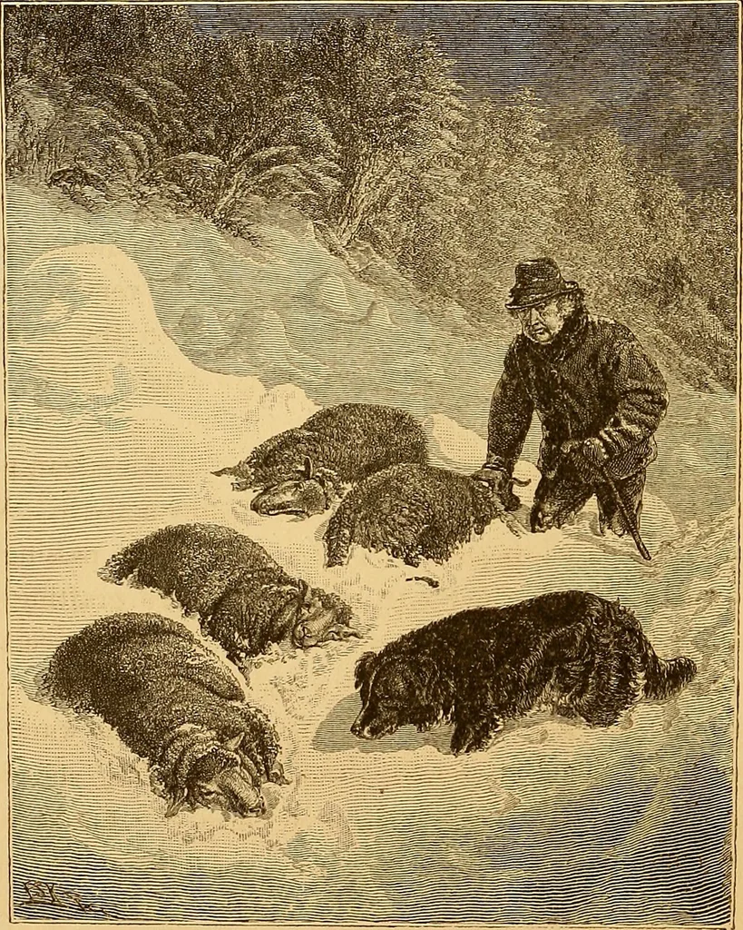 An illustration from Art in America : a critical and historical sketch, 1880, leaf 135