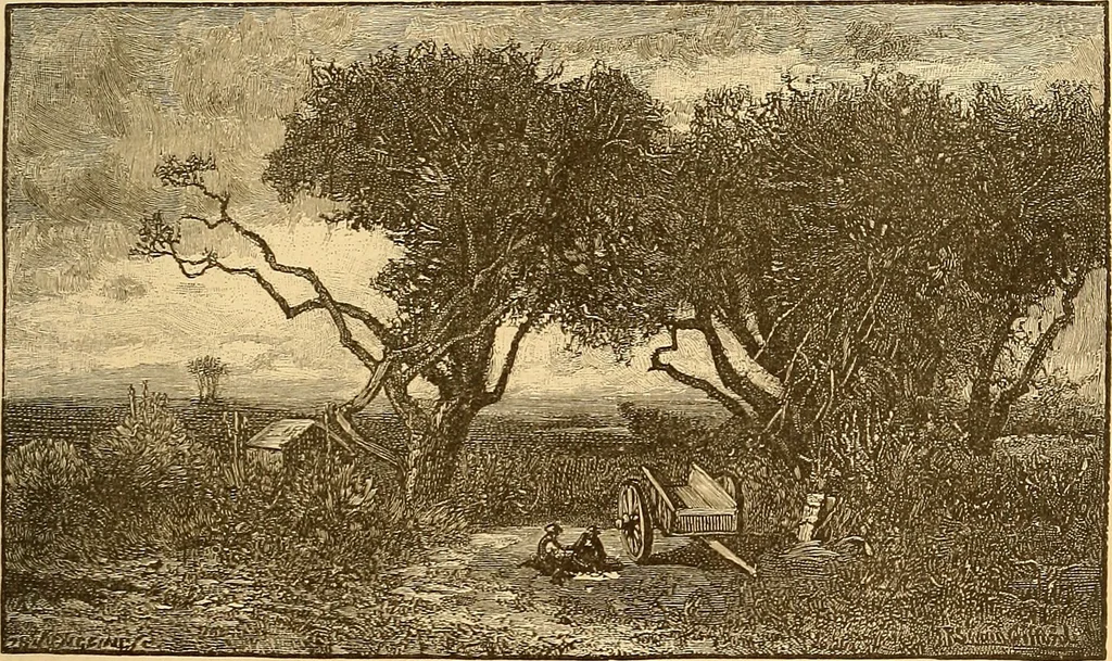 An illustration from Art in America : a critical and historical sketch, 1880, leaf 190