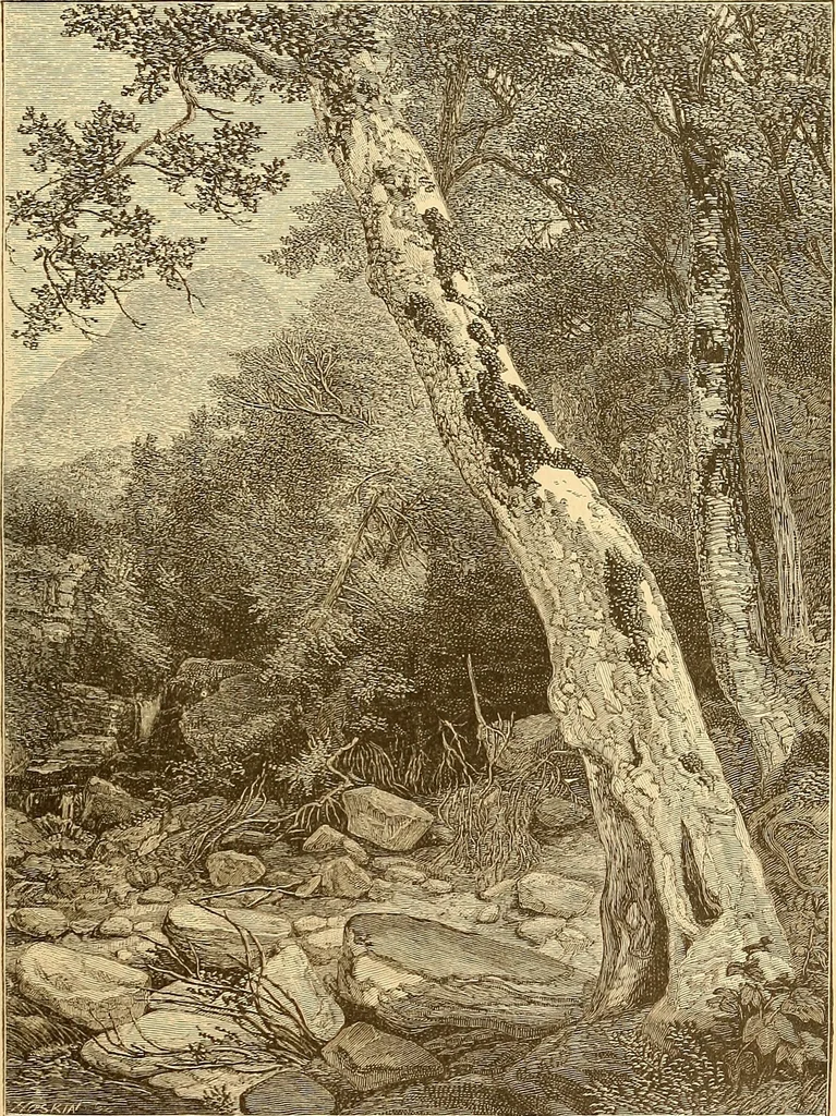 An illustration from Art in America : a critical and historical sketch, 1880, leaf 64