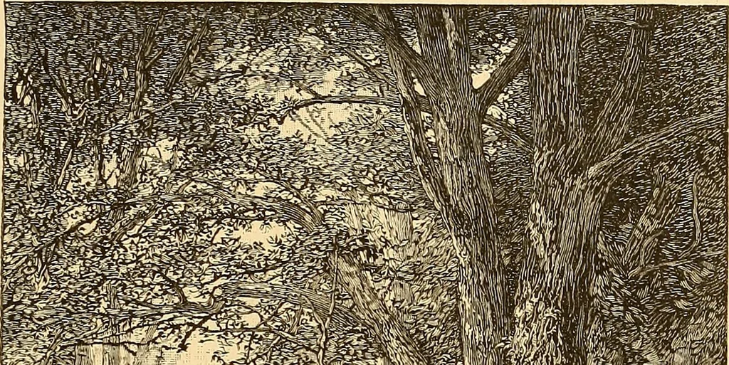 An illustration from Art in America : a critical and historical sketch, 1880, leaf 80