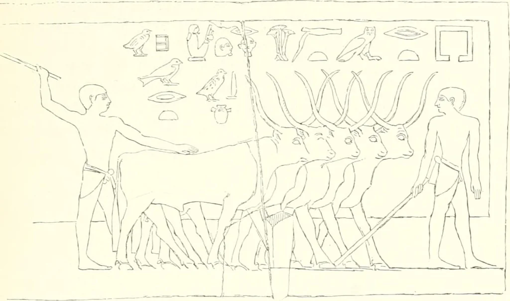 An illustration from A history of art in ancient Egypt, 1883, leaf 118
