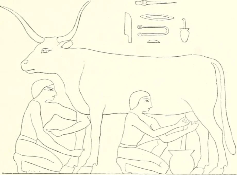 An illustration from A history of art in ancient Egypt, 1883, leaf 124