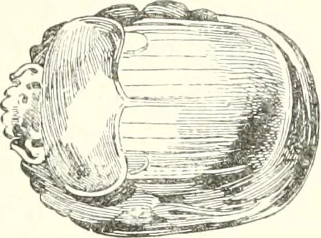 An illustration from A history of art in ancient Egypt, 1883, leaf 250