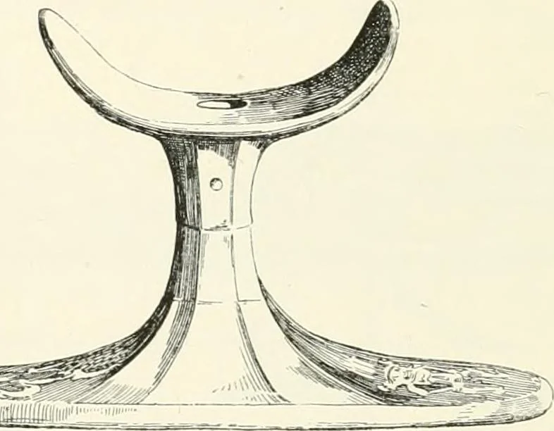 An illustration from A history of art in ancient Egypt, 1883, leaf 251