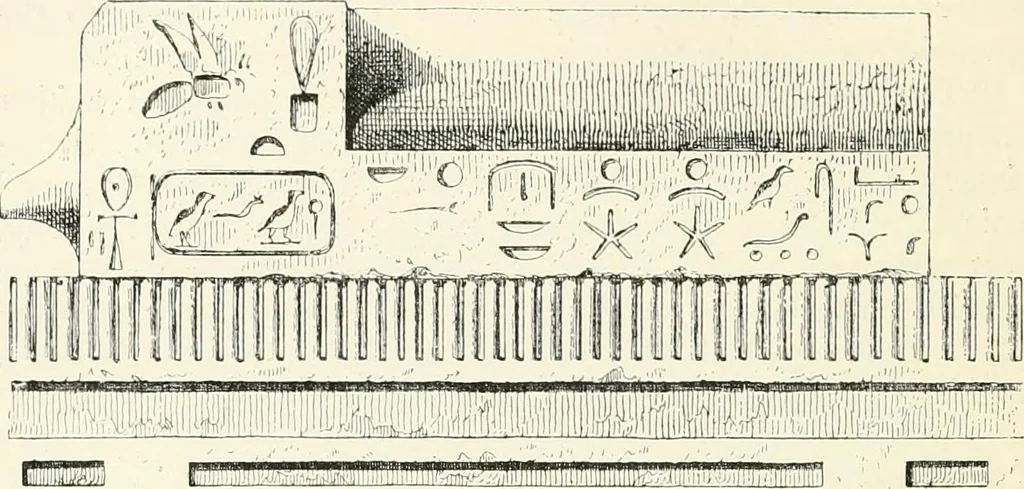 An illustration from A history of art in ancient Egypt, 1883, leaf 275
