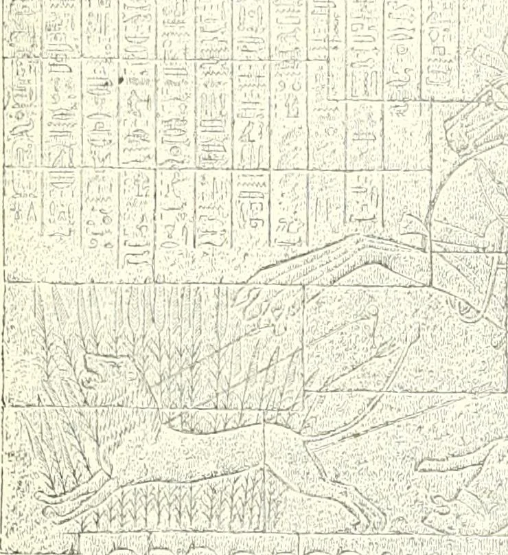 An illustration from A history of art in ancient Egypt, 1883, leaf 356
