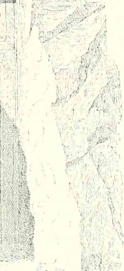 An illustration from A history of art in ancient Egypt, 1883, leaf 368