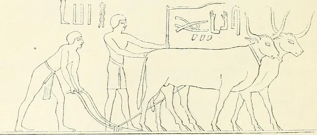 An illustration from A history of art in ancient Egypt, 1883, leaf 89