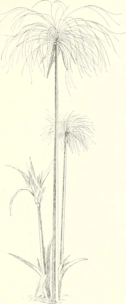 An illustration from A history of art in ancient Egypt, 1883, leaf 148
