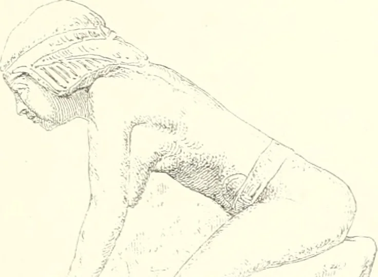 An illustration from A history of art in ancient Egypt, 1883, leaf 240