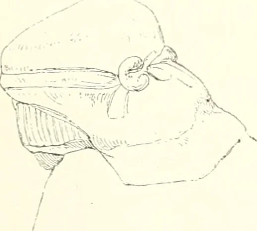 An illustration from A history of art in ancient Egypt, 1883, leaf 240