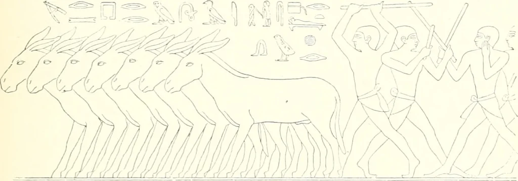 An illustration from A history of art in ancient Egypt, 1883, leaf 244