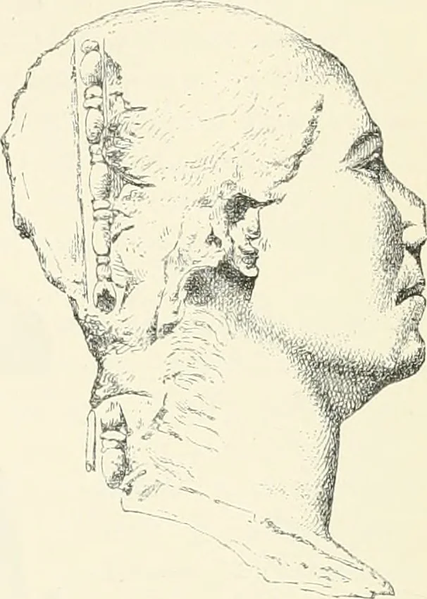 An illustration from A history of art in ancient Egypt, 1883, leaf 303