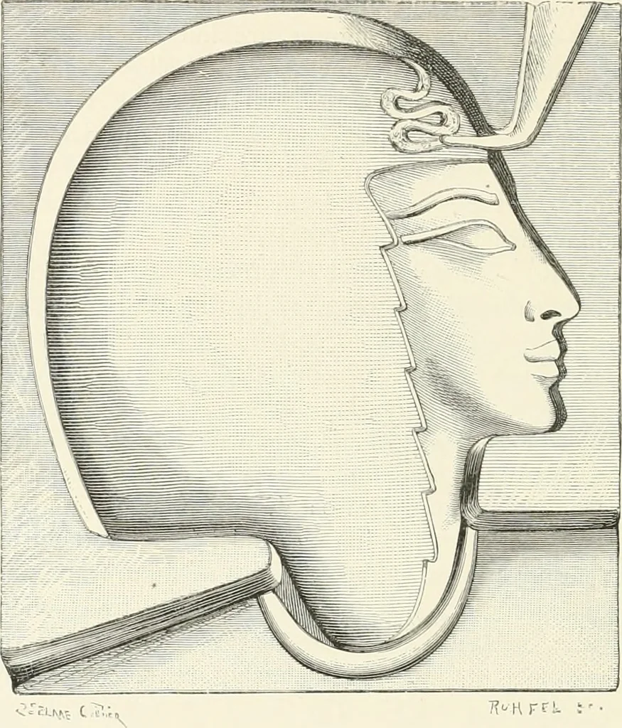 An illustration from A history of art in ancient Egypt, 1883, leaf 315