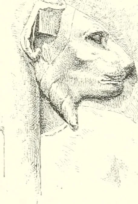 An illustration from A history of art in ancient Egypt, 1883, leaf 352