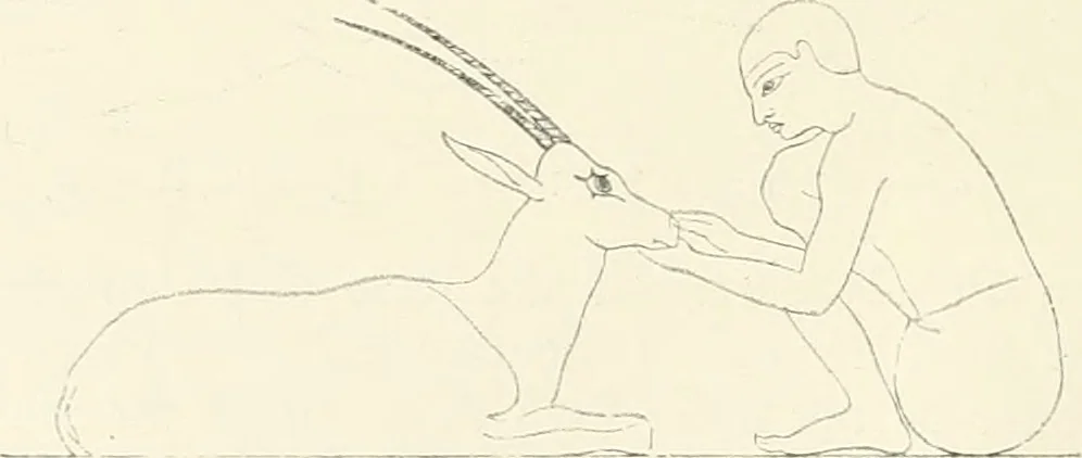 An illustration from A history of art in ancient Egypt, 1883, leaf 373