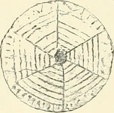 An illustration from A history of art in ancient Egypt, 1883, leaf 409
